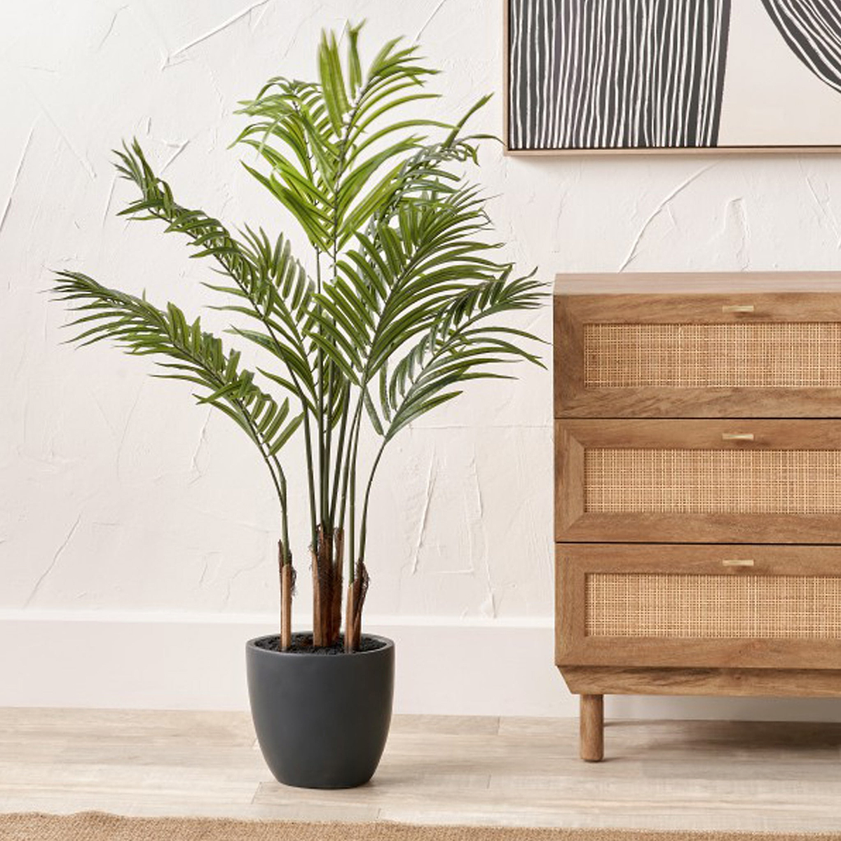 Areca Palm Plant in Pot from Roseland Furniture