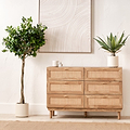 Agave Plant in Pot from Roseland Furniture