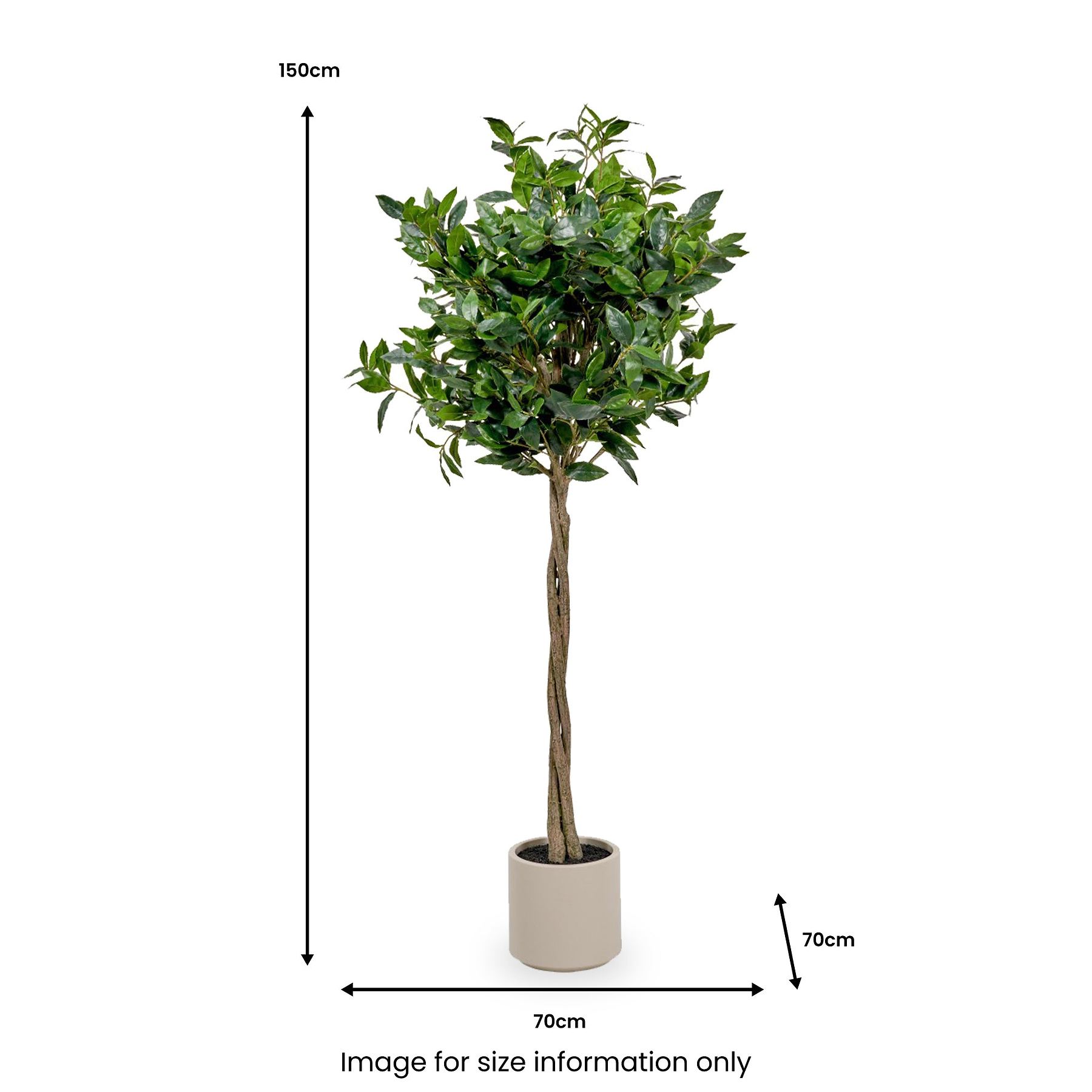 Bay Tree in Pot Close1 from Roseland Furniture
