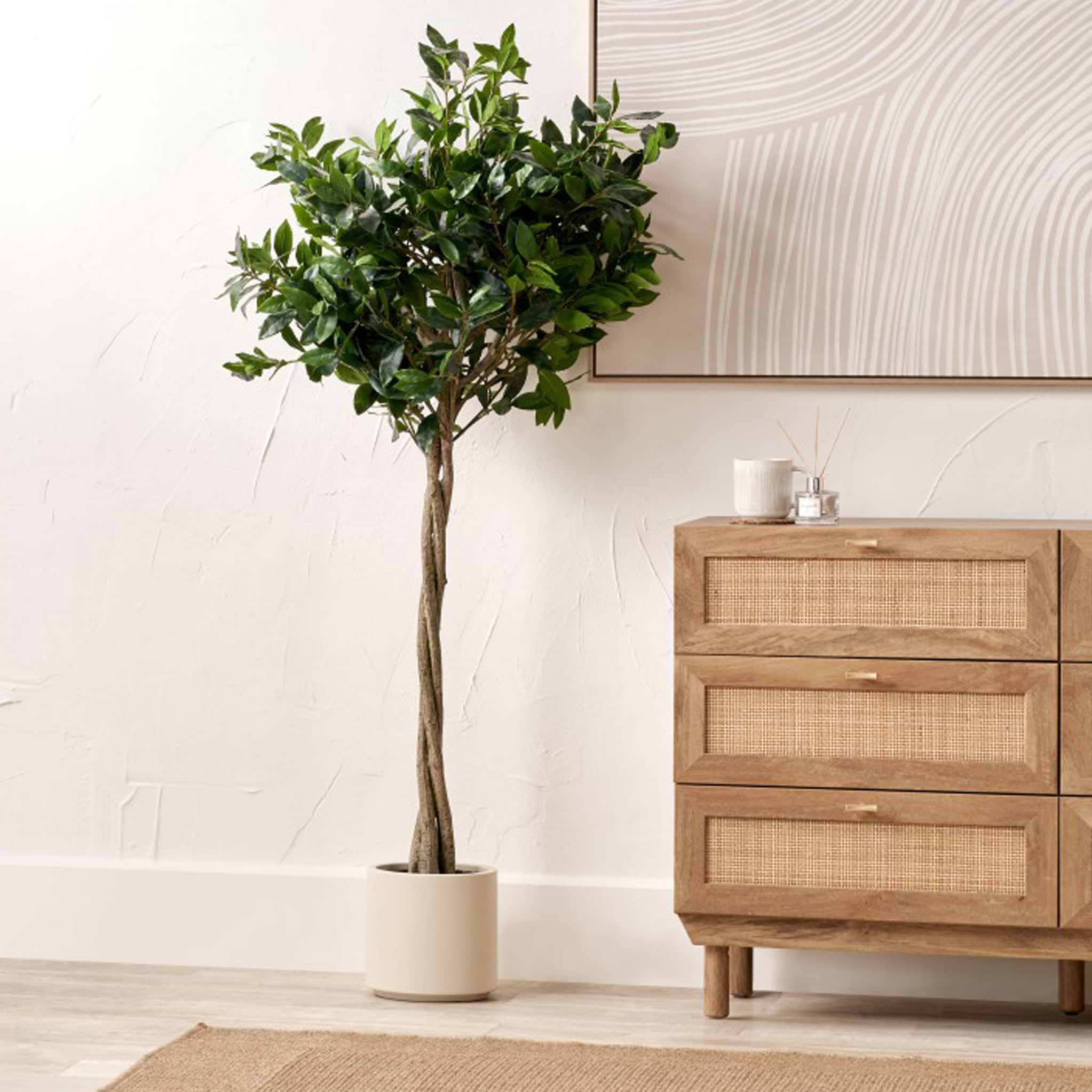Bay Tree in Pot Close1 from Roseland Furniture