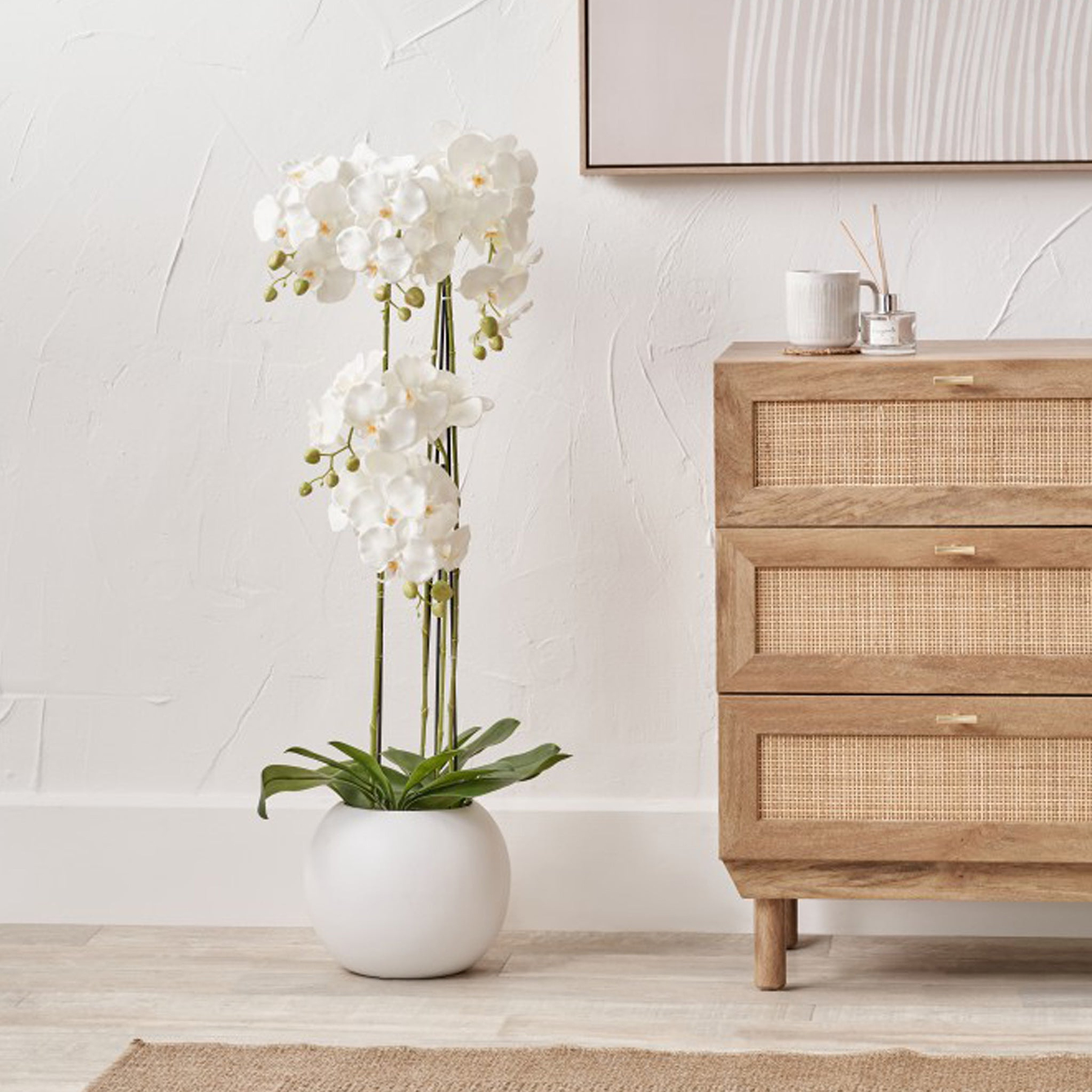 White Orchid in Pot Tall from Roseland Furniture