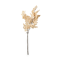 Natural Apricot Dried Flower Bunch from Roseland Furniture