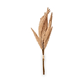 Natural Apricot Dried Flower Bunch from Roseland Furniture