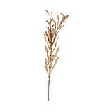 Natural Apricot Dried Flower Bunch from Roseland Furniture