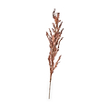 Mulberry Brown Dried Flower Bunch from Roseland Furniture