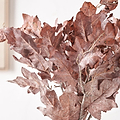 Mulberry Brown Dried Flower Bunch from Roseland Furniture