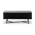 Ukiah Black Ash 2 Door Low Unit from Roseland Furniture
