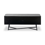 Ukiah Black Ash 2 Door Low Unit from Roseland Furniture