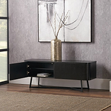 Ukiah Black Ash 2 Door Low Unit from Roseland Furniture