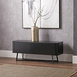 Ukiah Black Ash 2 Door Low Unit from Roseland Furniture