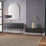 Ukiah Black Ash 2 Door Low Unit from Roseland Furniture