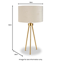 Houston Brushed Brass Tripod Table Lamp from Roseland Furniture