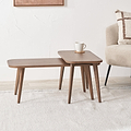 Elias Dark Ash 2 Coffee Tables from Roseland Furniture