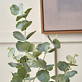 Eucalyptus Tree in Pot from Roseland Furniture