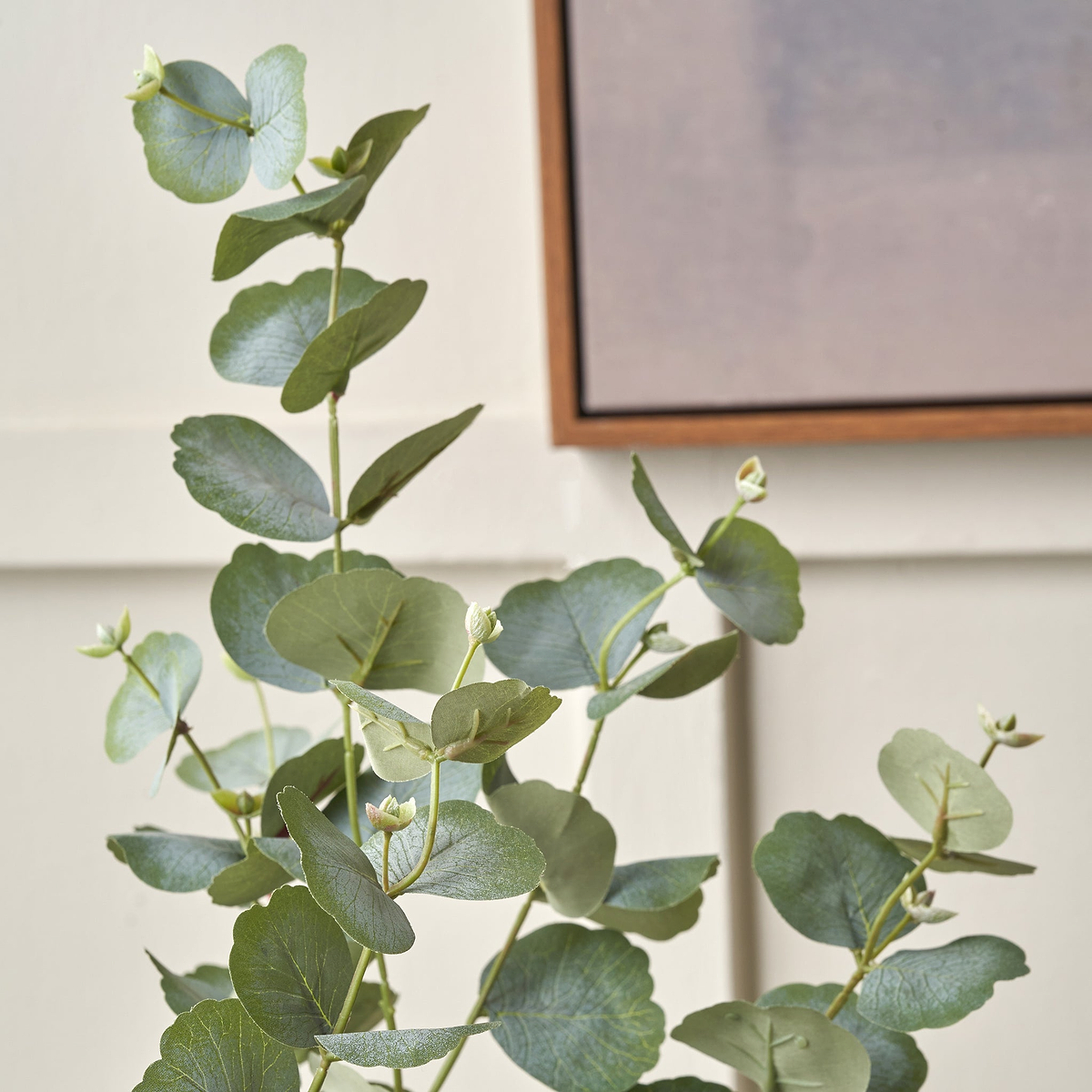 Eucalyptus Tree in Pot from Roseland Furniture