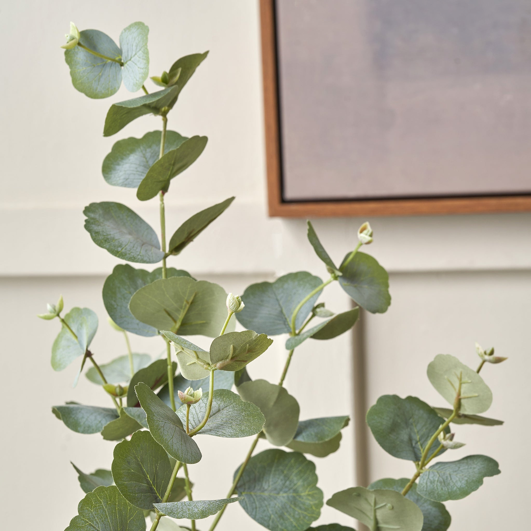 Eucalyptus Tree in Pot from Roseland Furniture