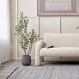 Eucalyptus Tree in Pot from Roseland Furniture