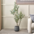 Eucalyptus Tree in Pot from Roseland Furniture
