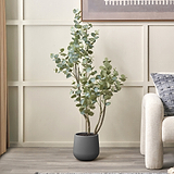 Eucalyptus Tree in Pot from Roseland Furniture