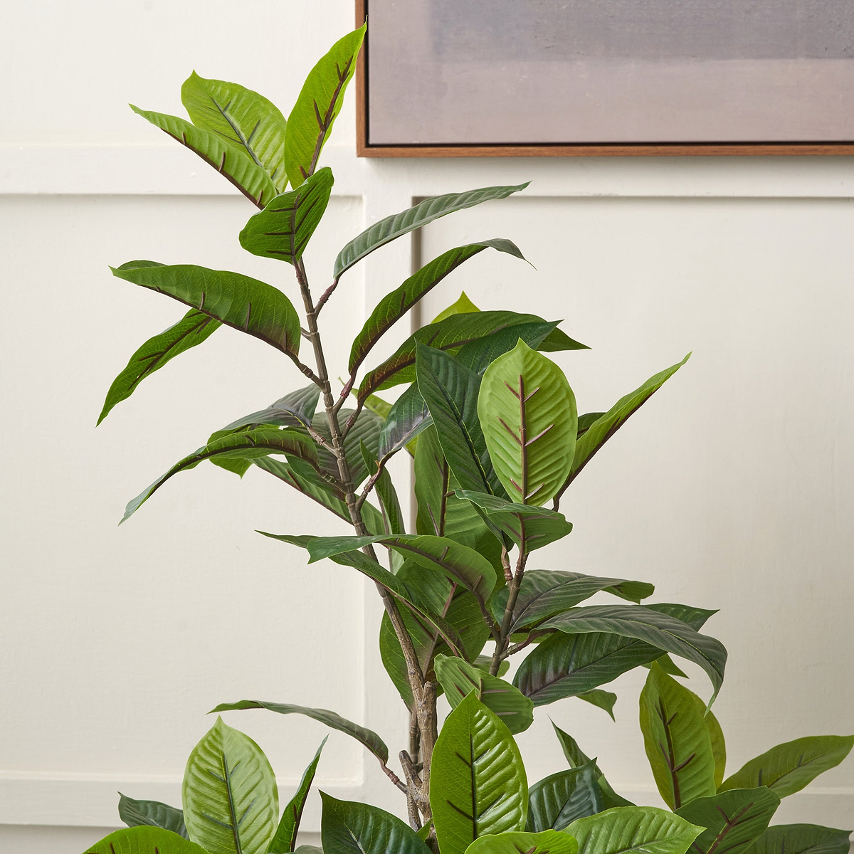 Magnolia Tree in Pot from Roseland Furniture