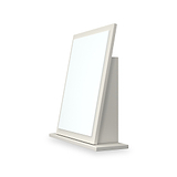Hadley Mirror Grey from Roseland Furniture