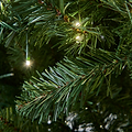 EATON FIR 7.5ft Tree WWLED from Roseland Furniture
