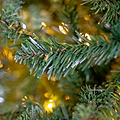 EATON FIR 7.5ft Tree WWLED from Roseland Furniture