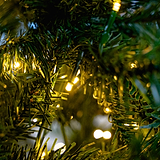 EATON FIR 7.5ft Tree WWLED from Roseland Furniture