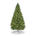 EATON FIR 7.5ft Tree WWLED from Roseland Furniture