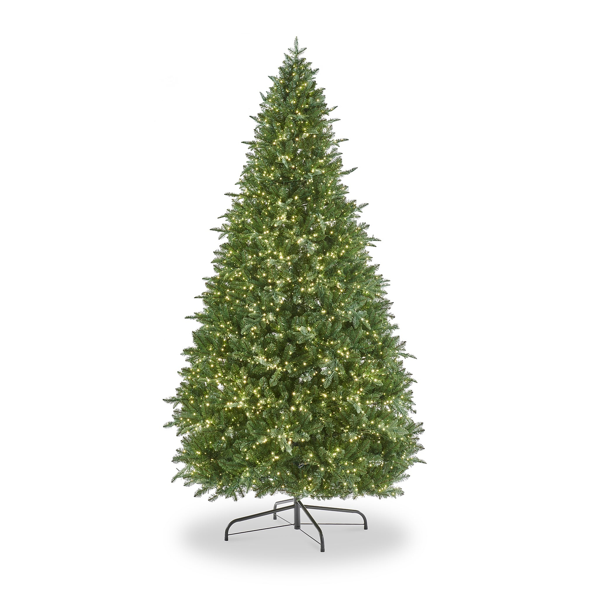 EATON FIR 7.5ft Tree WWLED from Roseland Furniture