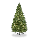 EATON FIR 7.5ft Tree WWLED from Roseland Furniture
