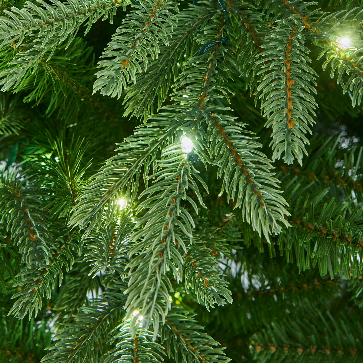 FLORENCE FIR 7.5ft Tree LED from Roseland Furniture