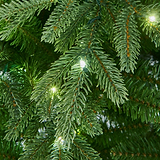 FLORENCE FIR 7.5ft Tree LED from Roseland Furniture