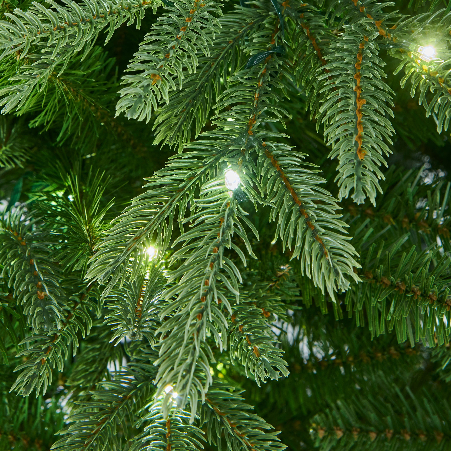 FLORENCE FIR 7.5ft Tree LED from Roseland Furniture