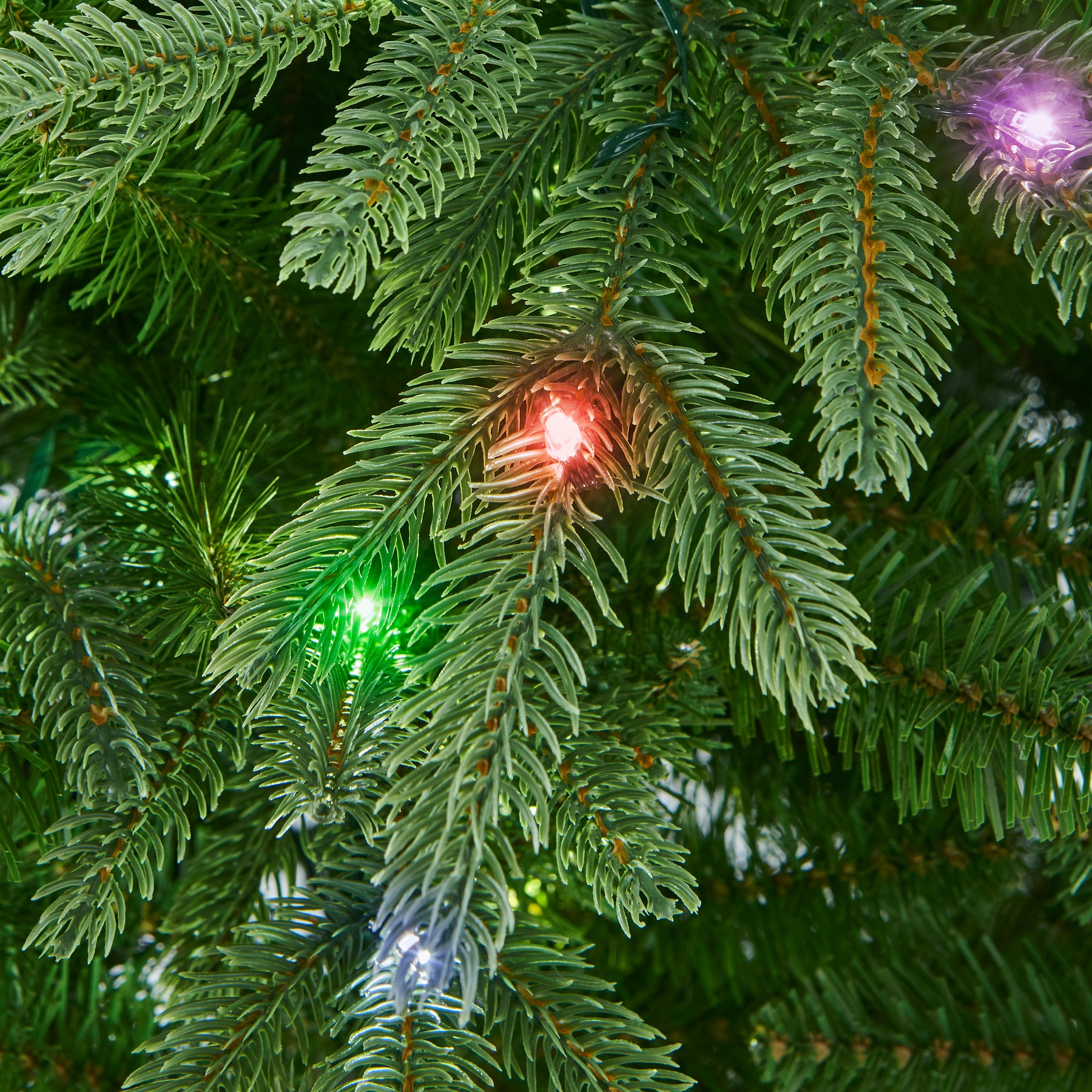 FLORENCE FIR 7.5ft Tree LED from Roseland Furniture