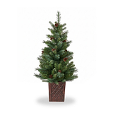 HAZELNUT PINE Porch Tree 4ft Potted from Roseland Furniture