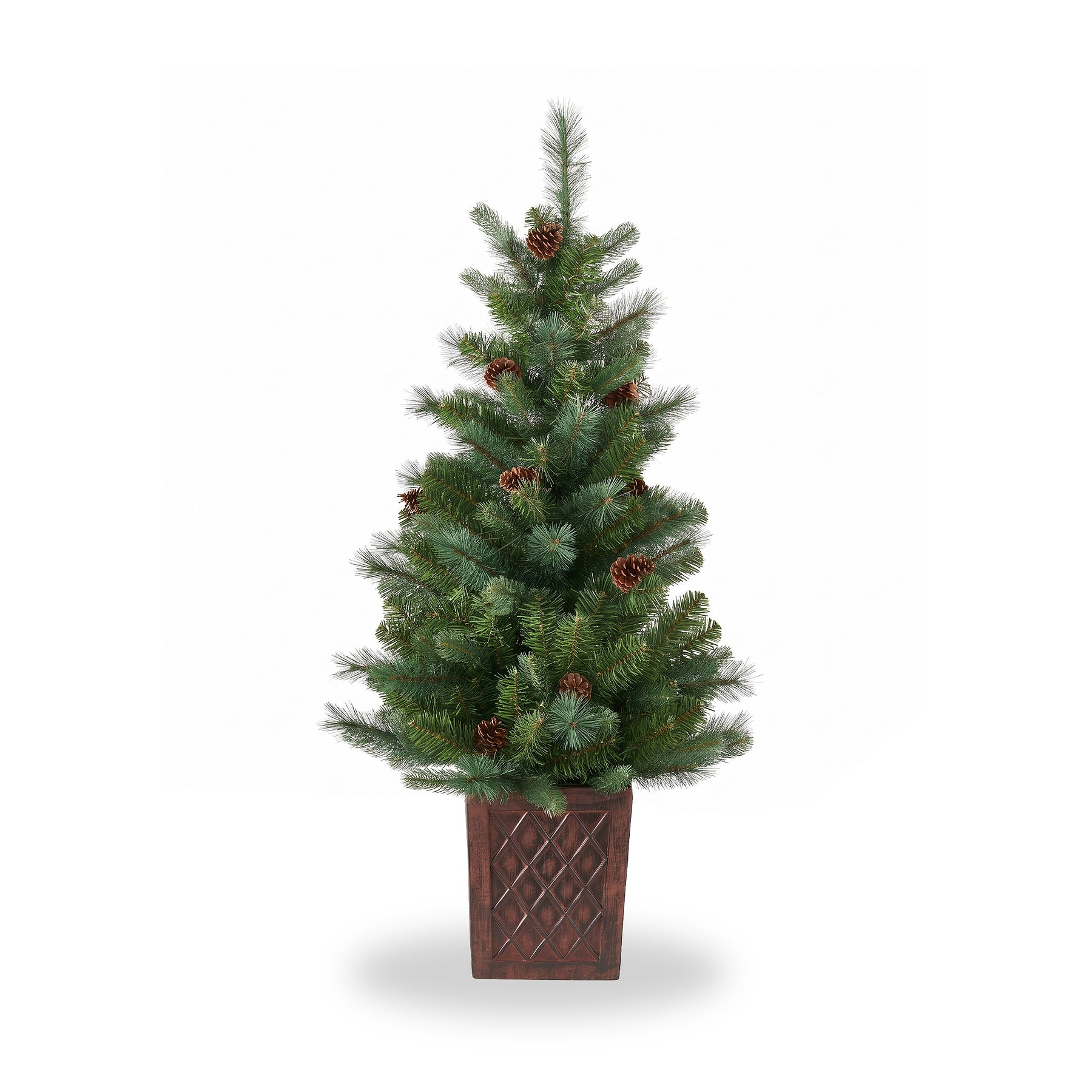 HAZELNUT PINE Porch Tree 4ft Potted from Roseland Furniture