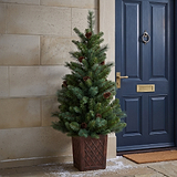 HAZELNUT PINE Porch Tree 4ft Potted from Roseland Furniture