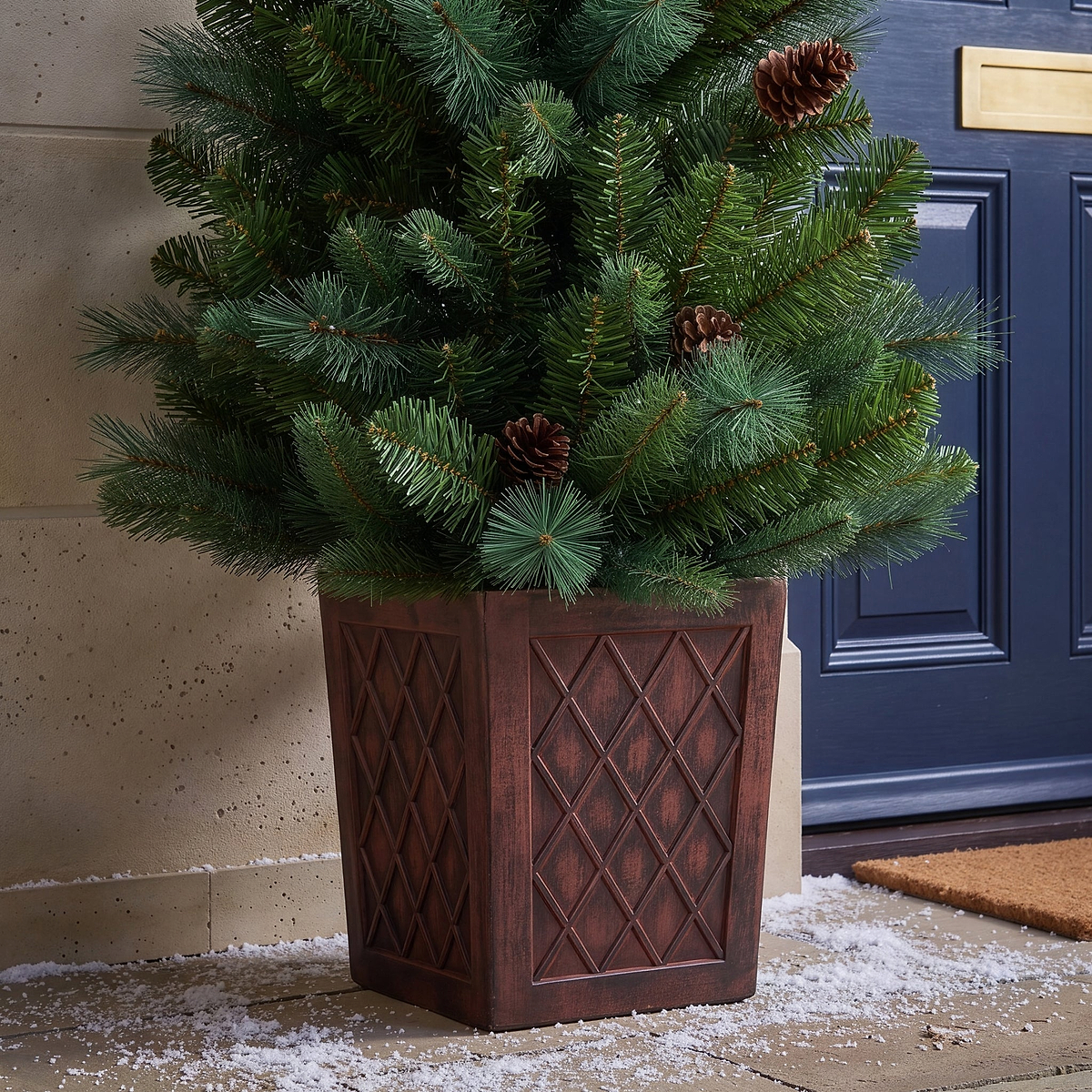 HAZELNUT PINE Porch Tree 4ft Potted from Roseland Furniture