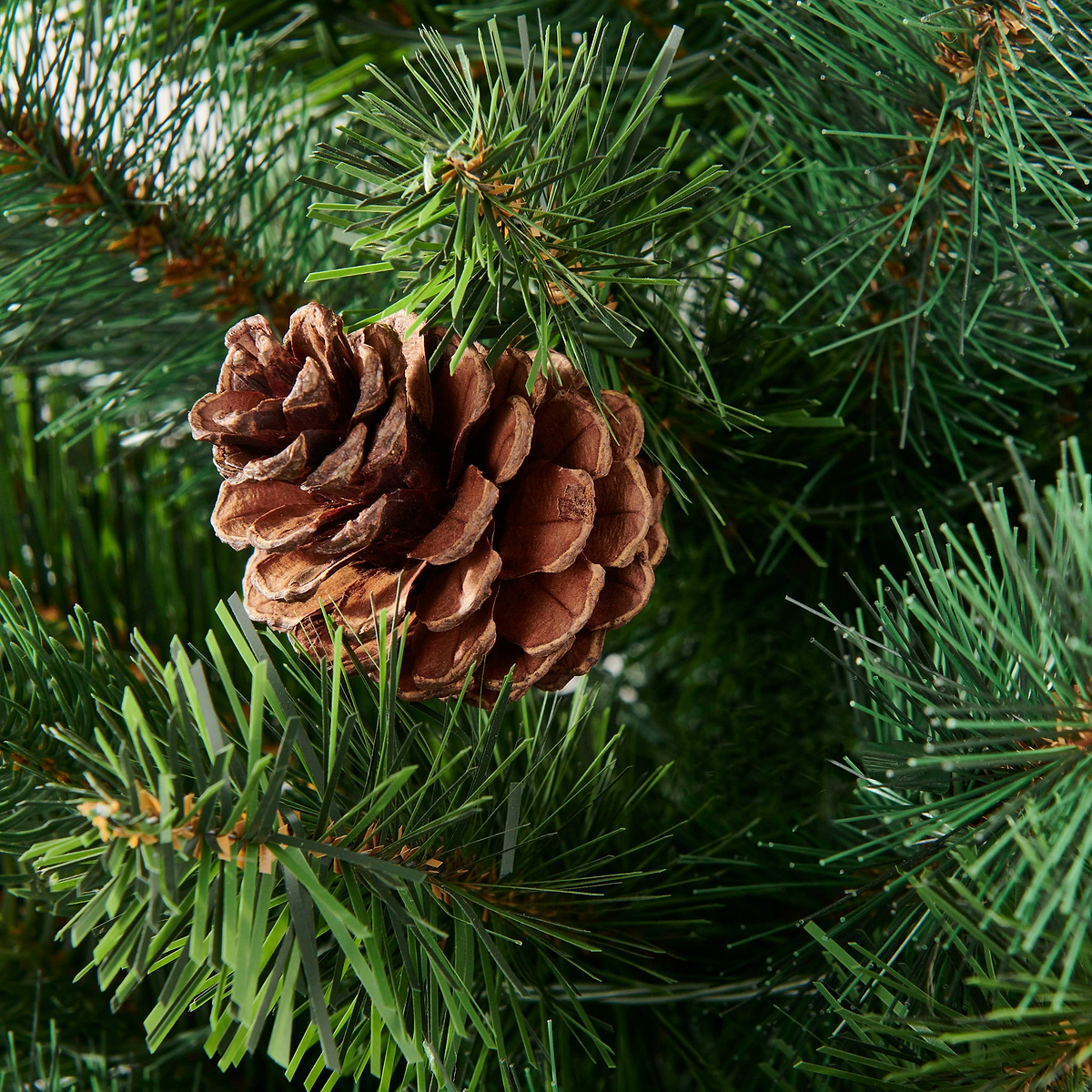 HAZELNUT PINE Porch Tree 4ft Potted from Roseland Furniture