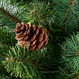 HAZELNUT PINE Porch Tree 4ft Potted from Roseland Furniture