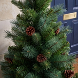 HAZELNUT PINE Porch Tree 4ft Potted from Roseland Furniture
