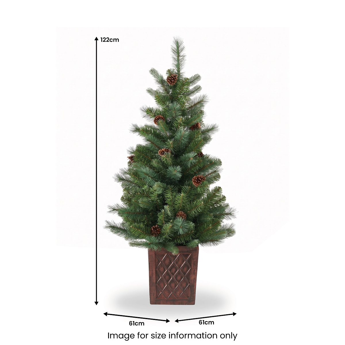 HAZELNUT PINE Porch Tree 4ft Potted from Roseland Furniture