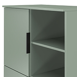 Ashbourne Cabinet Reed Green from Roseland Furniture