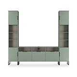 Ashbourne Multi Media Wall Unit Reed Green from Roseland Furniture