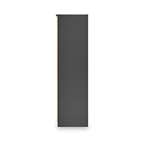 Jago-slatted-effect-2-door-mirrored-wardrobe-black from Roseland Furniture
