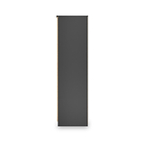 Jago-slatted-effect-2-door-wardrobe-black from Roseland Furniture