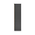 Jago-tall-2-door-2-draw-mirrored-wardrobe-black from Roseland Furniture