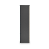 Jago-tall-2-door-2-draw-mirrored-wardrobe-black from Roseland Furniture