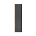 Jago-tall-2-door-mirrored-wardrobe-black from Roseland Furniture